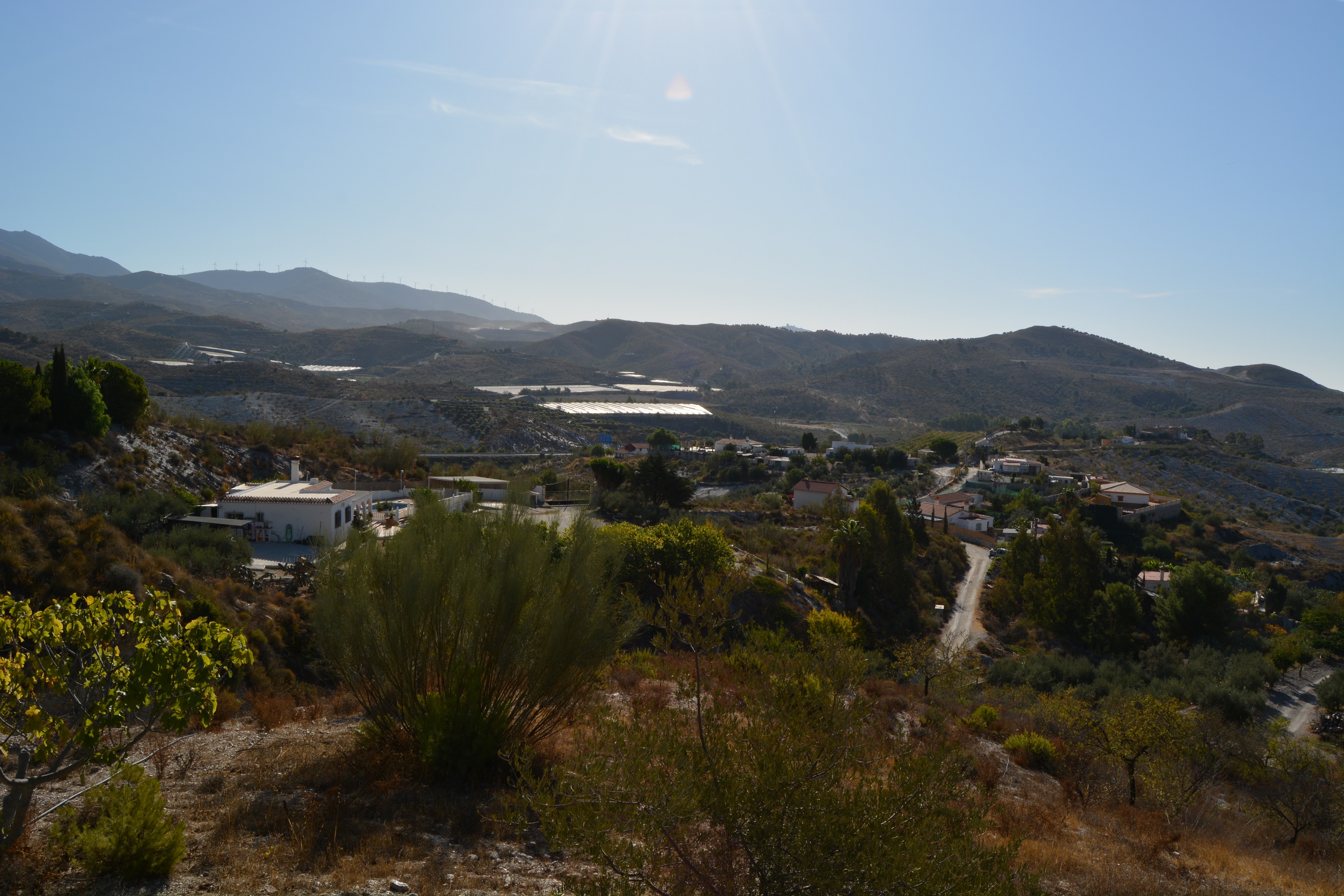 FINCA CON CORTIJO EN LA GORGORACHA - DVA Gestión