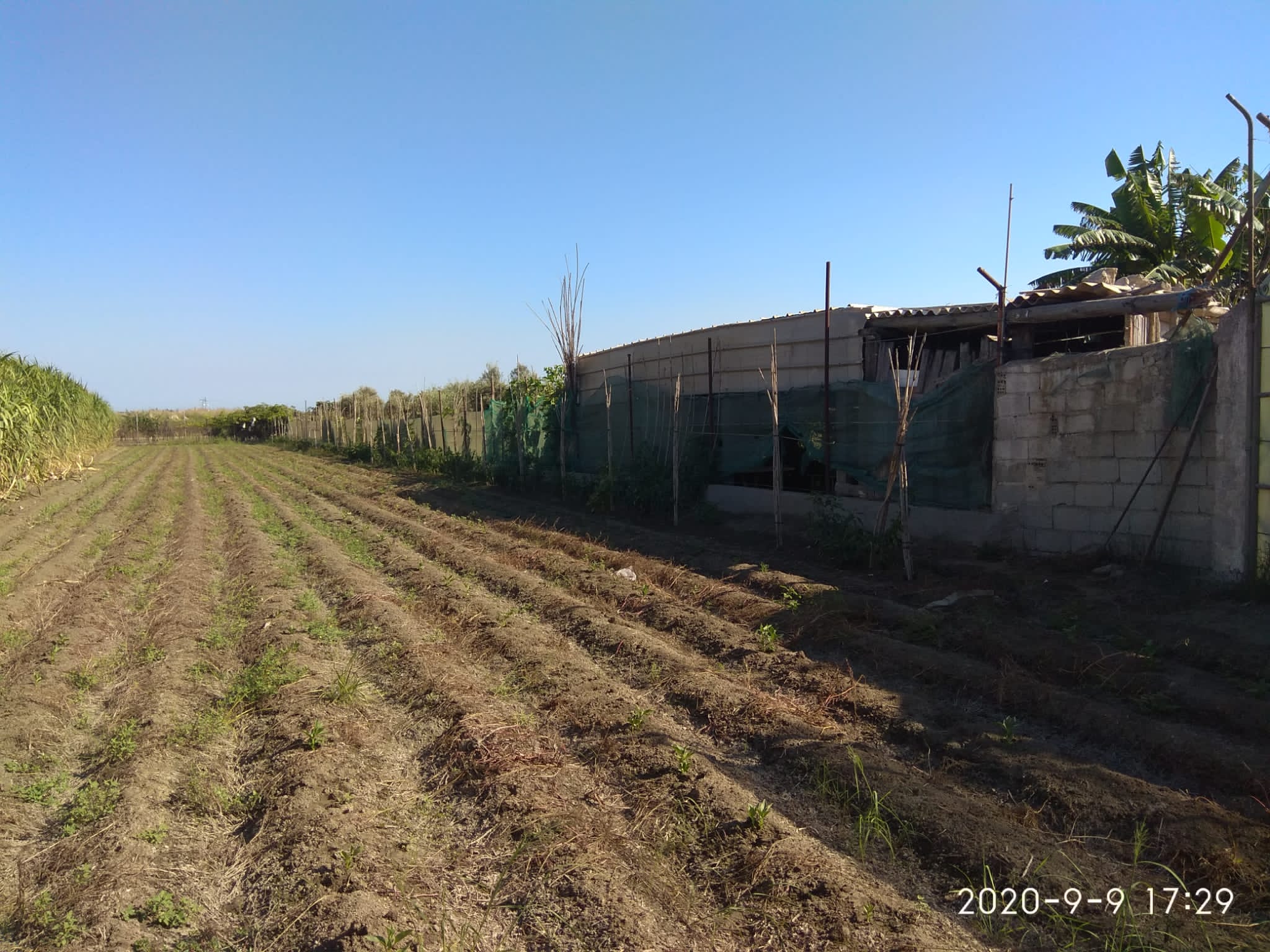Finca Rustica En Playa Granada Dva Gestion